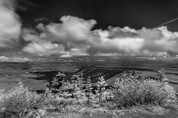 Black Butte Summit hike