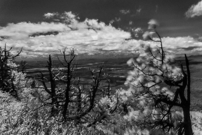 Black Butte Summit hike