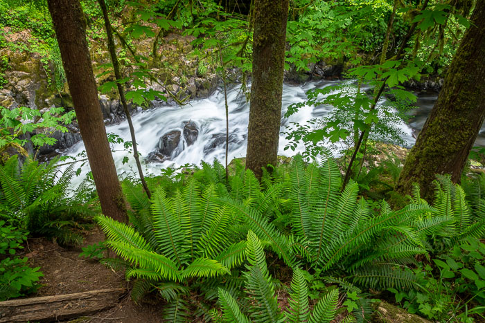 Cedar Creek Grist Mill