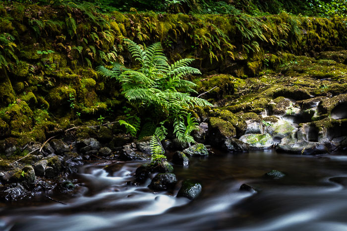 Cedar Creek Grist Mill