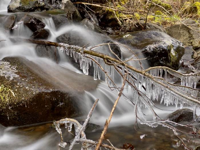 Estacada River Trail