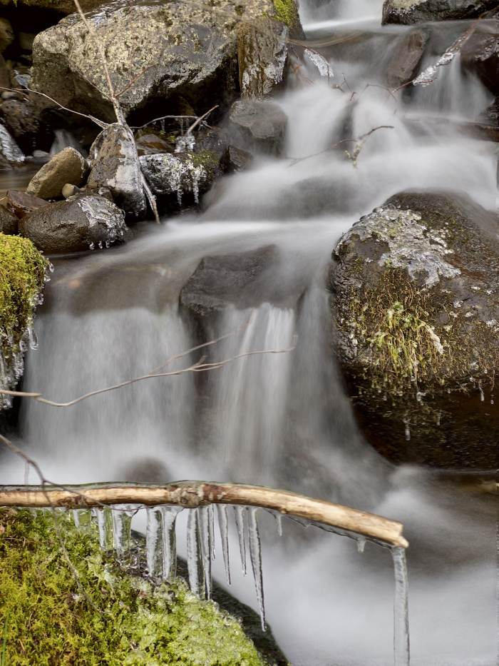 Estacada River Trail