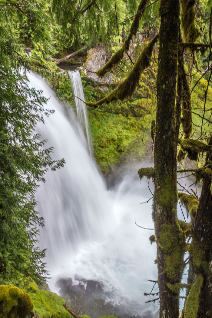 Mckenzie River Valley