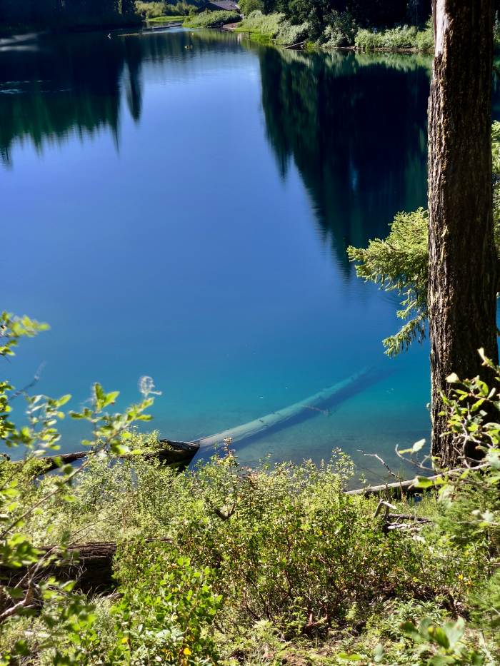 Mckenzie River Valley