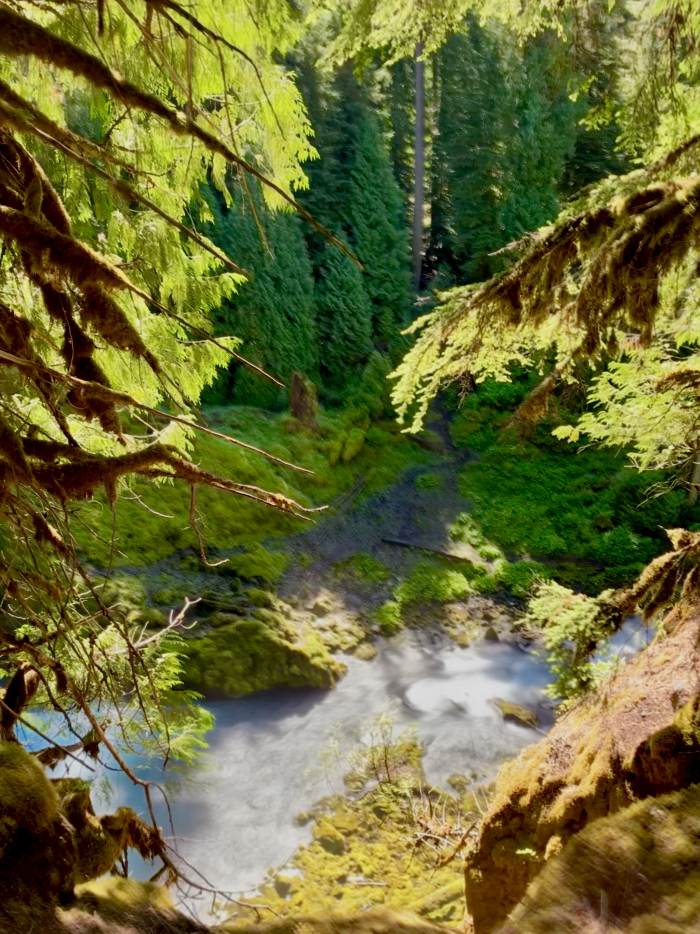 Mckenzie River Valley Mckenzie River Valley