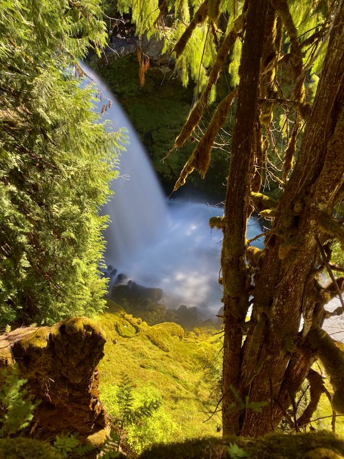 Mckenzie River Valley