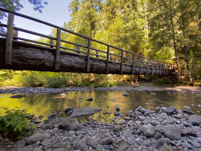 Mckenzie River Valley