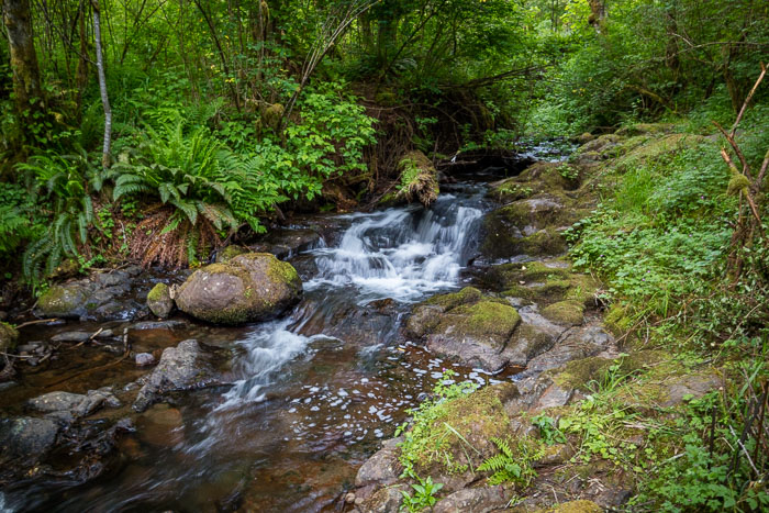 Moulton Falls