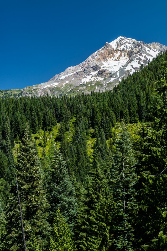 Mt. Hood Summer Mt. Hood Summer