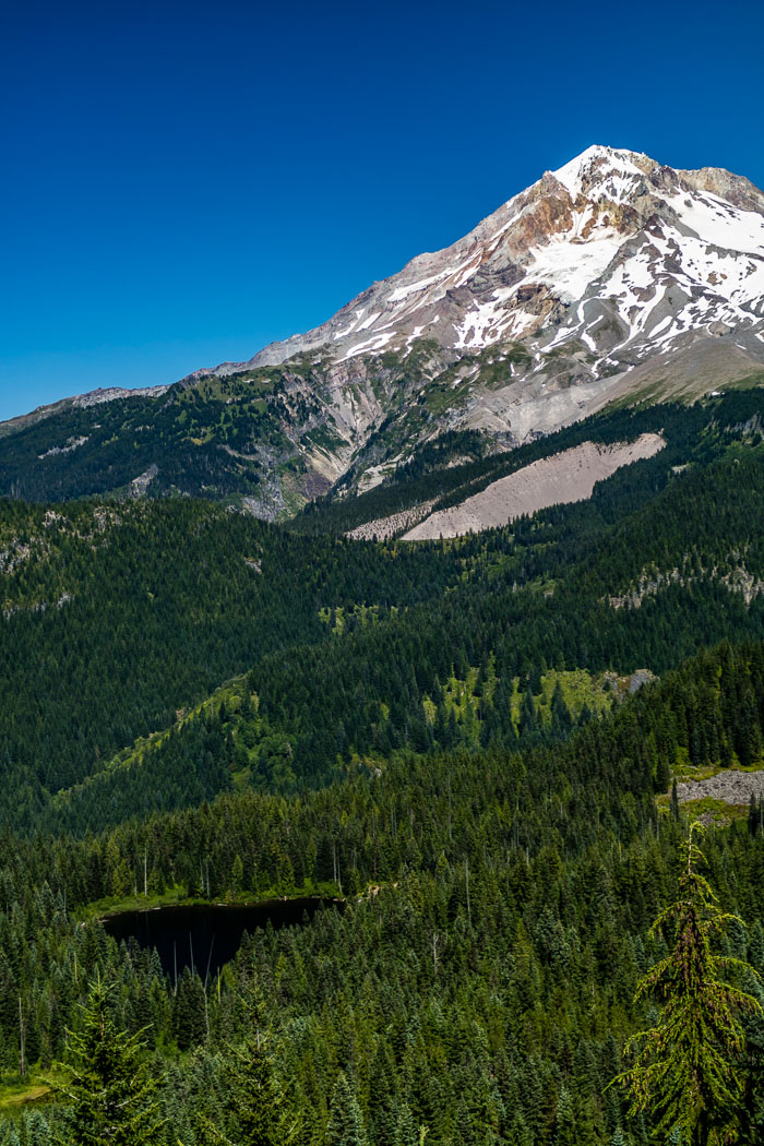 Mt. Hood Summer