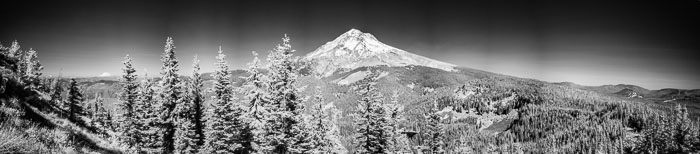 Mt. Hood Summer