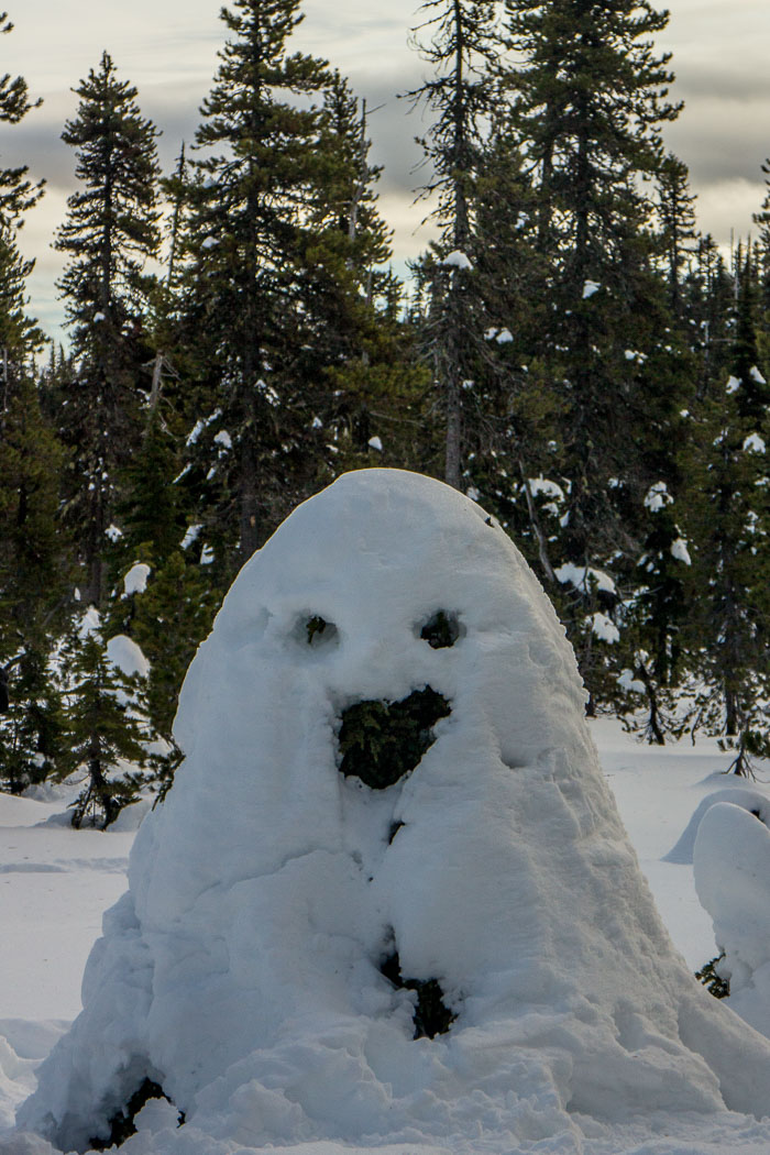 Mt. Hood Winter