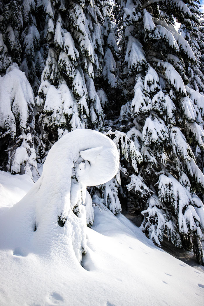 Mt. Hood Winter Mt. Hood Winter