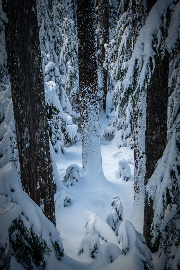 Mt. Hood Winter