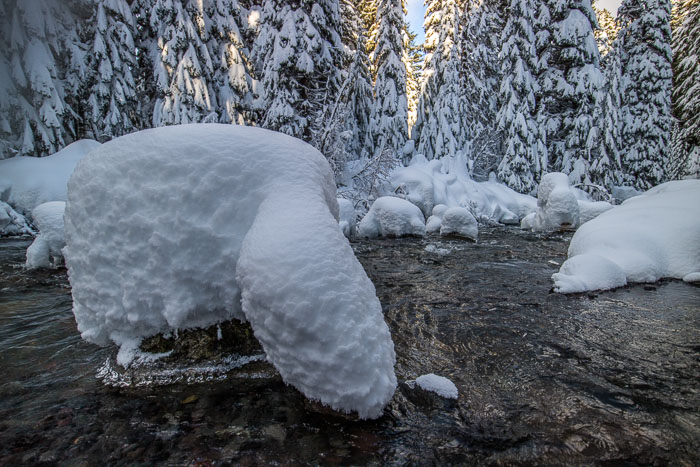Mt. Hood Winter