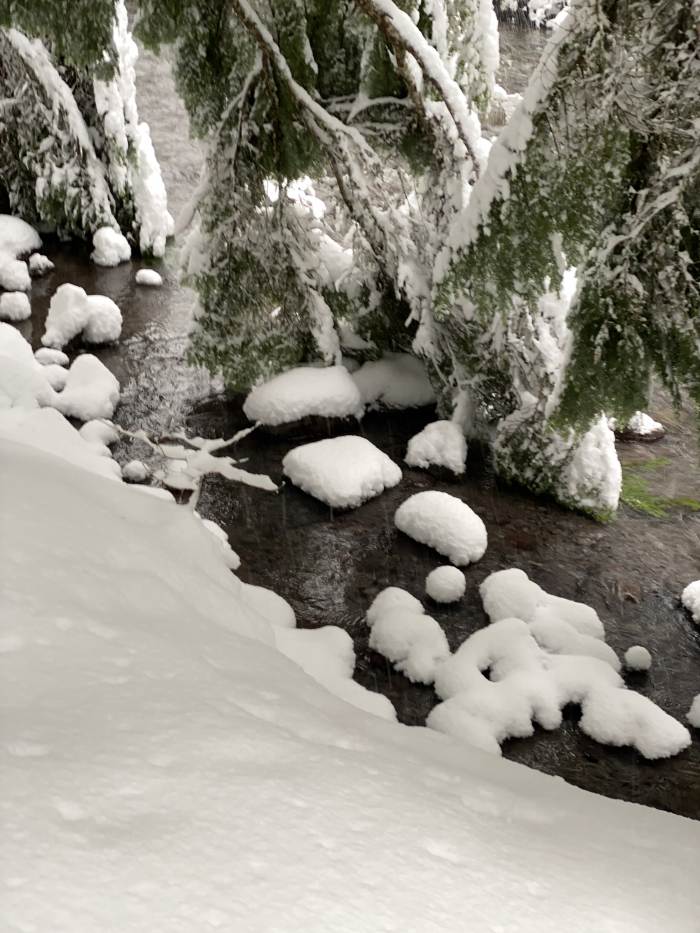 Mt. Hood Winter