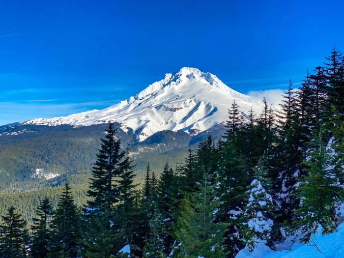 Mt. Hood Winter