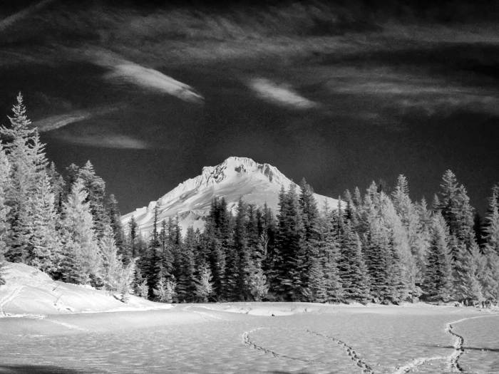 Mt. Hood Winter