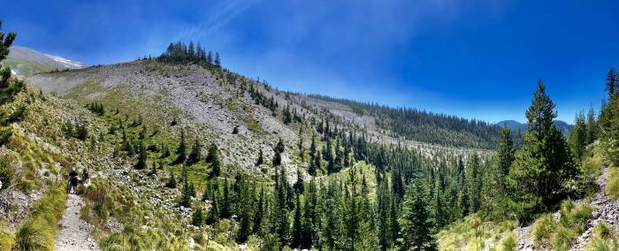 Mt. St. Helens