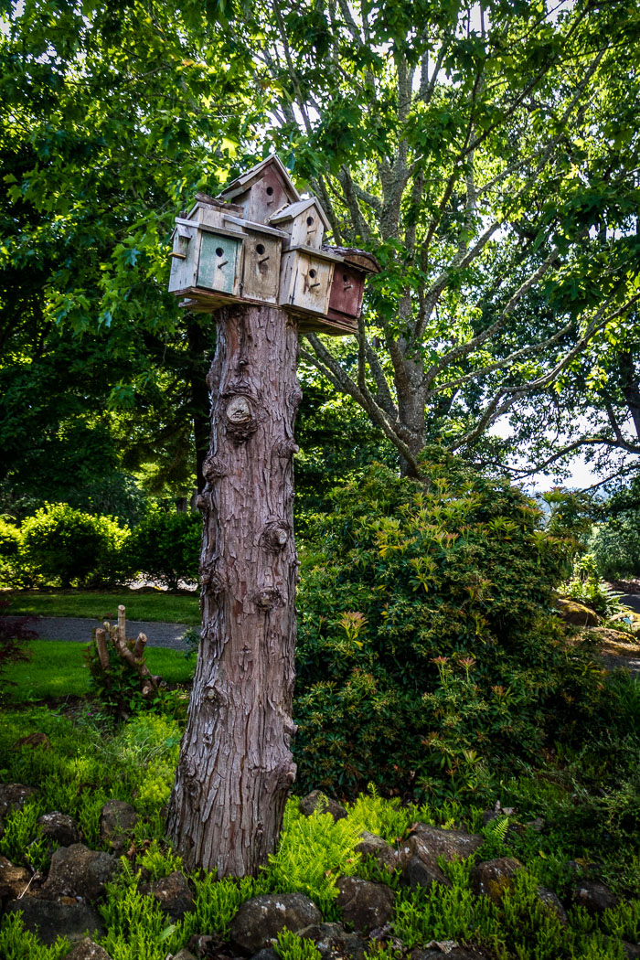 Oregon Gardens Oregon Gardens