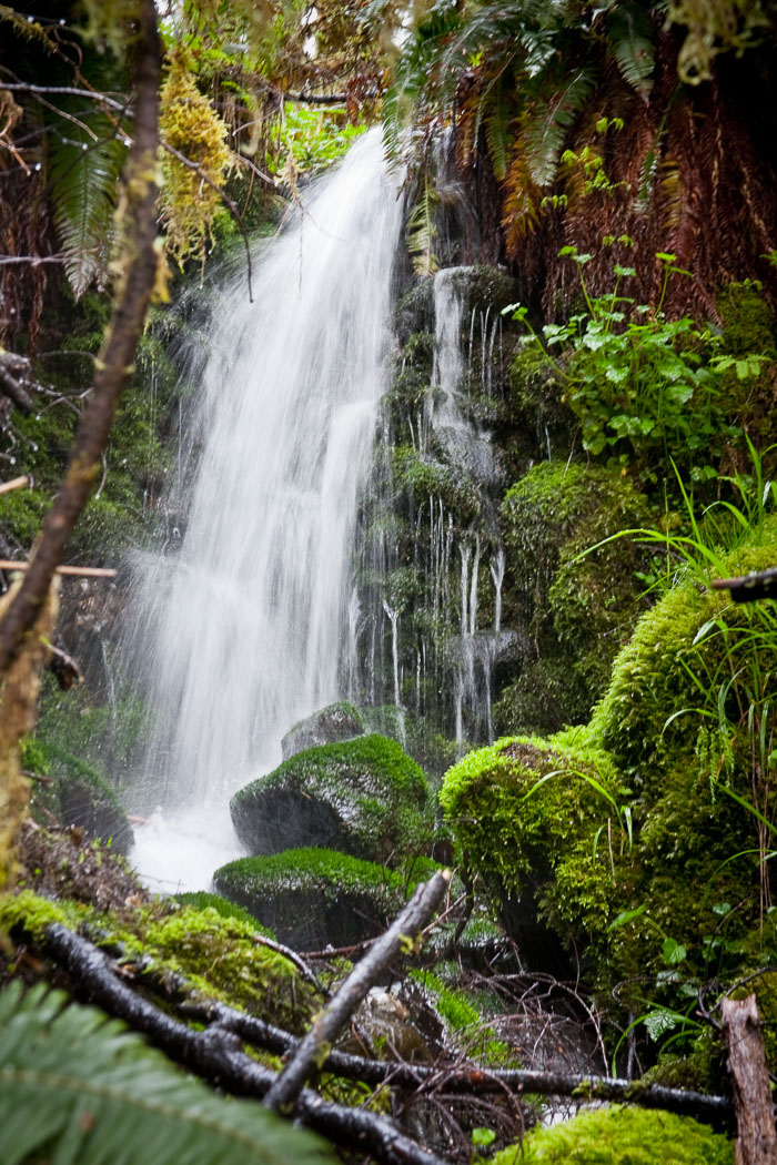 Silver Falls State Park