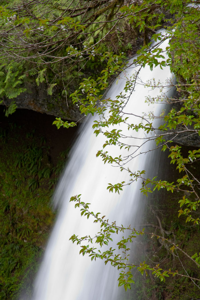 Silver Falls State Park Silver Falls State Park