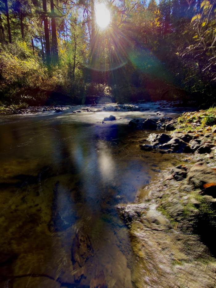 Silver Falls State Park Silver Falls State Park