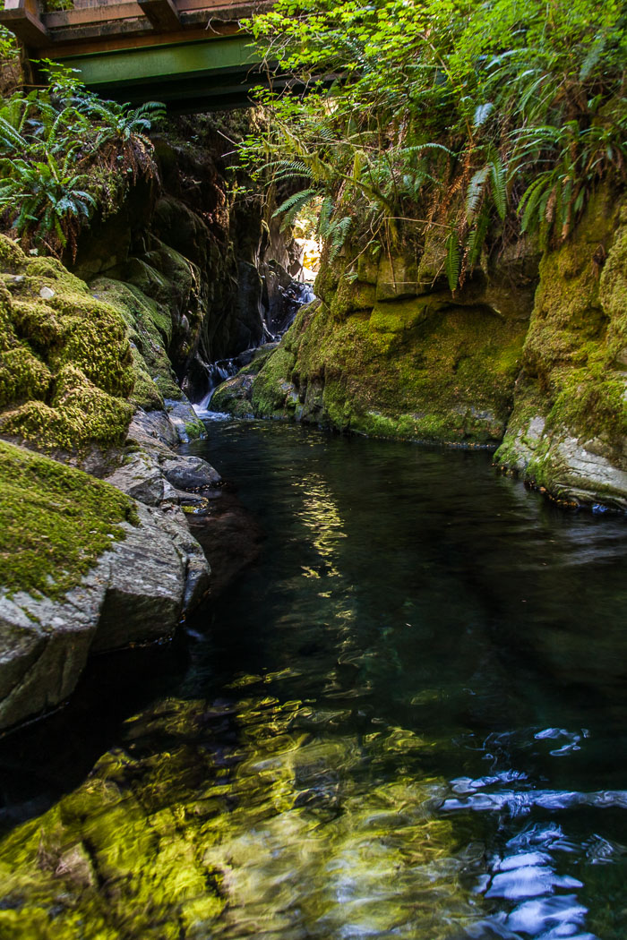 Siouxon Creek Trail