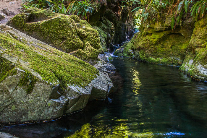 Siouxon Creek Trail