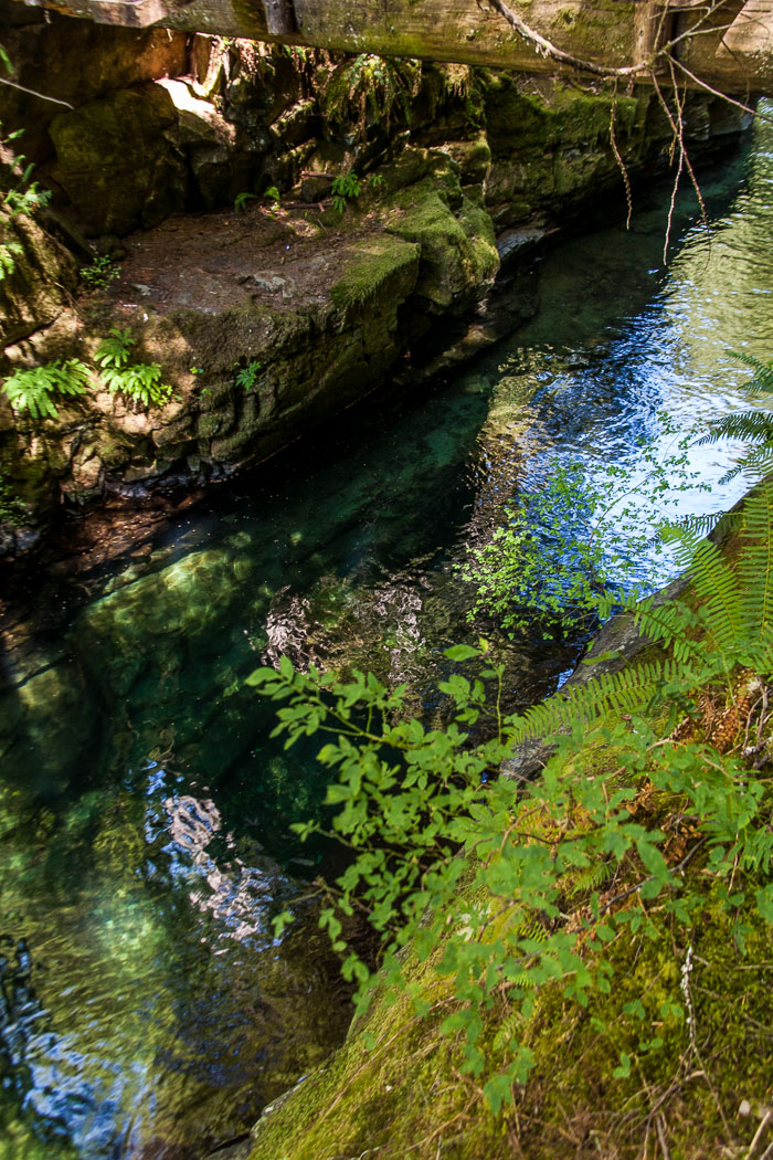 Siouxon Creek Trail