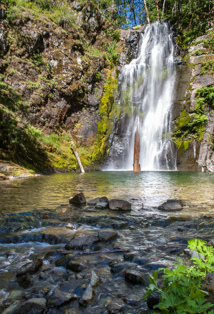 Siouxon Creek Trail