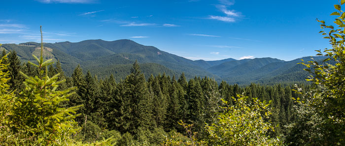 Siouxon Creek Trail