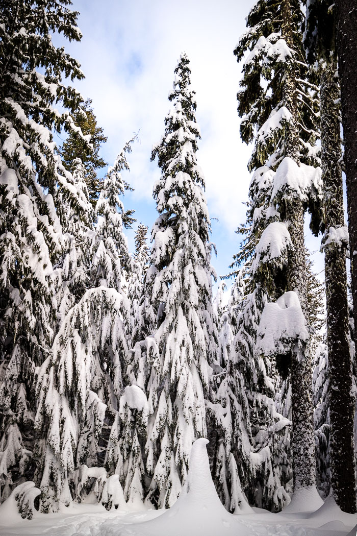 Cascade Range