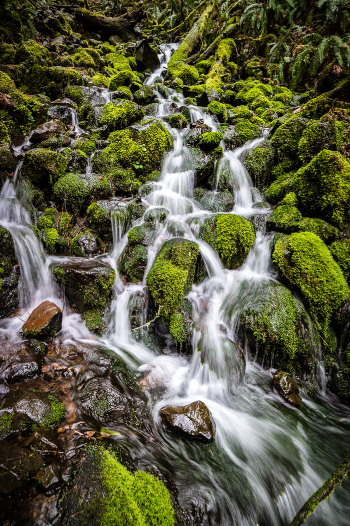 Cascade Range