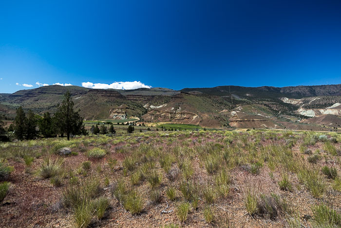 The Painted Hills section of the John Day Fossil beds National Monument