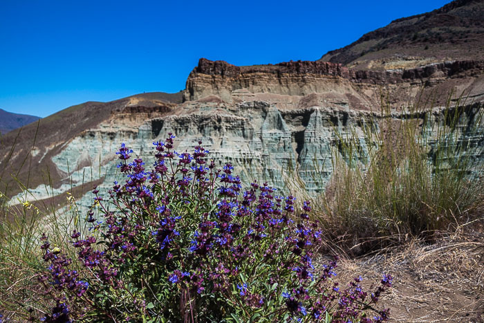 The Painted Hills section of the John Day Fossil beds National Monument