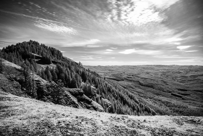 Saddle Mountain