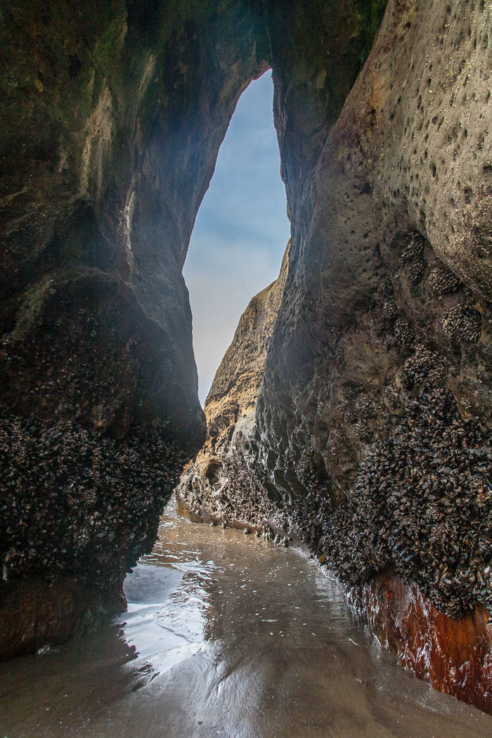 Cape Kiwanda