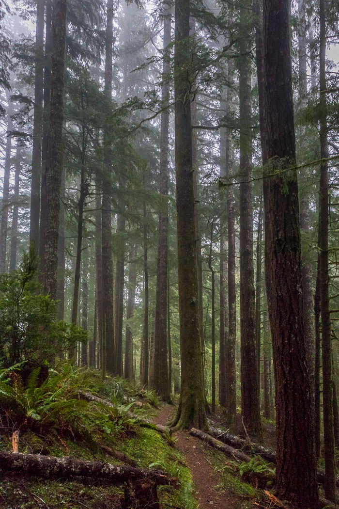 Cape Perpetua