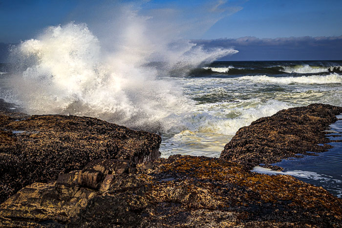 Cape Perpetua