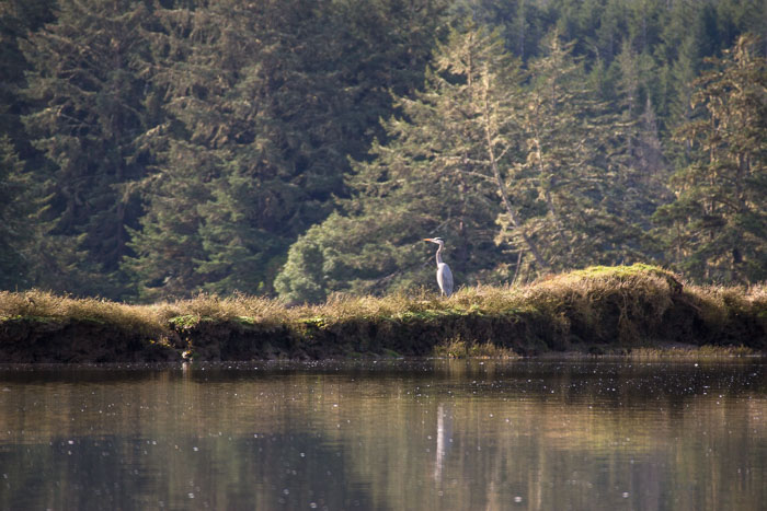 Coos Bay Area Sloughs