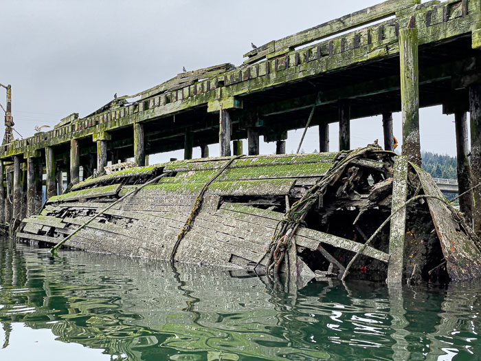 Coos Bay Area Sloughs