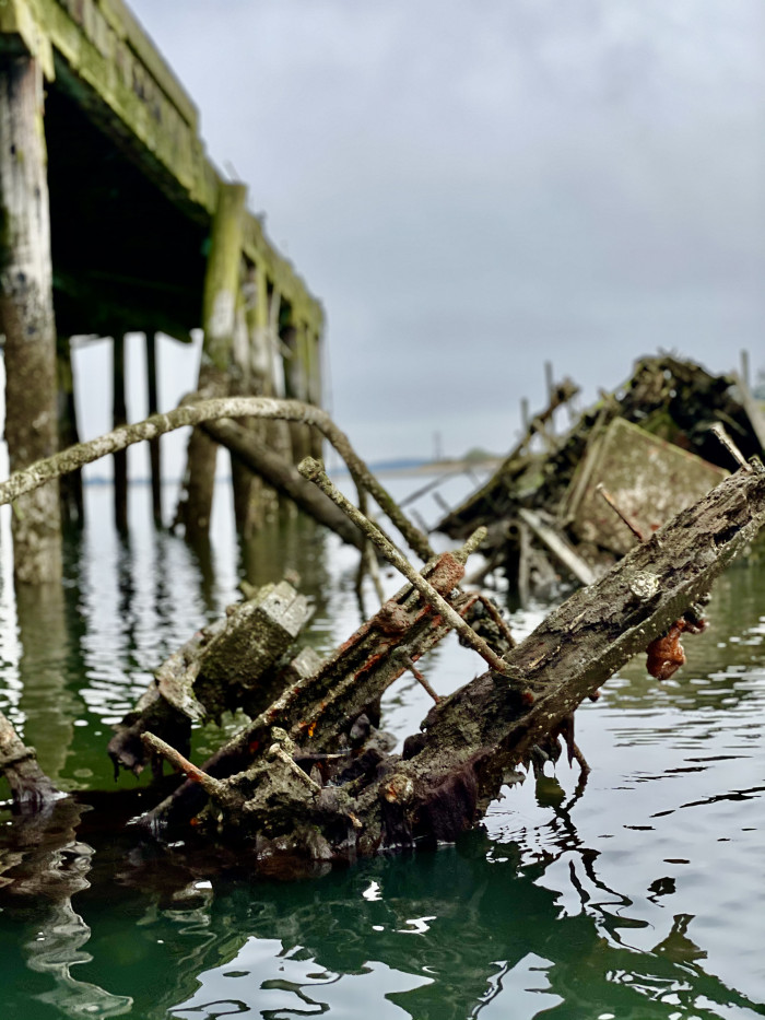 Coos Bay Area Sloughs