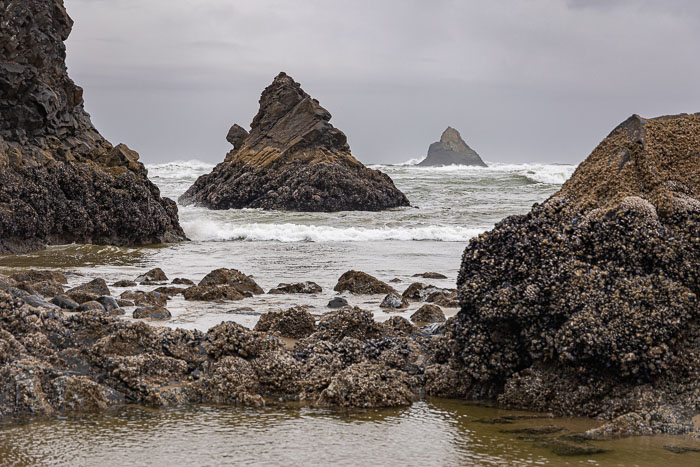 Northern Oregon Coast