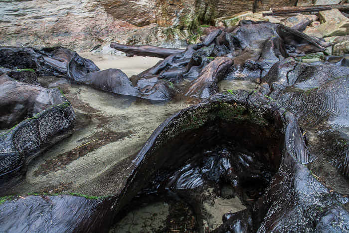 Northern Oregon Coast
