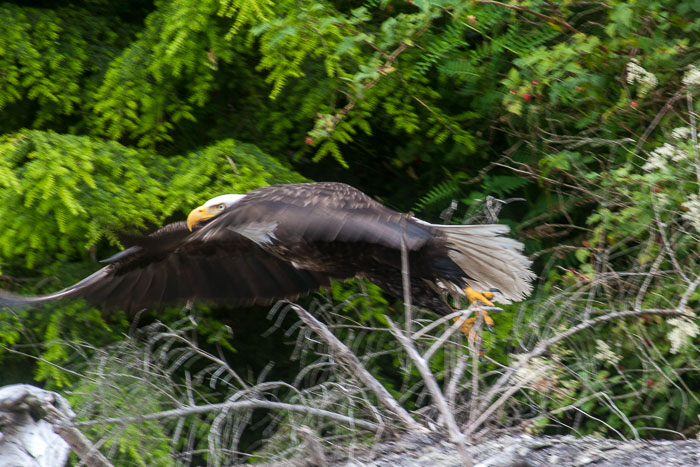 Deception Pass