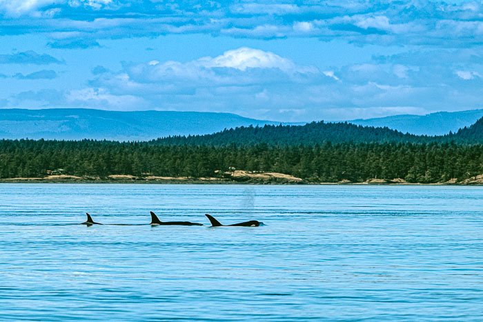San Juan Islands