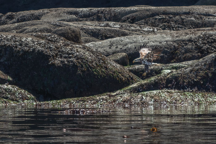 San Juan Islands