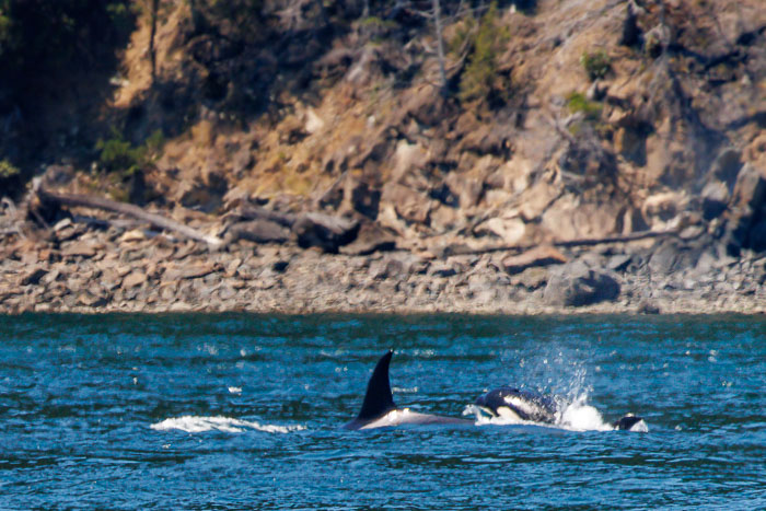 San Juan Islands