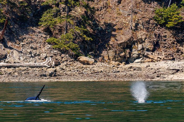 San Juan Islands